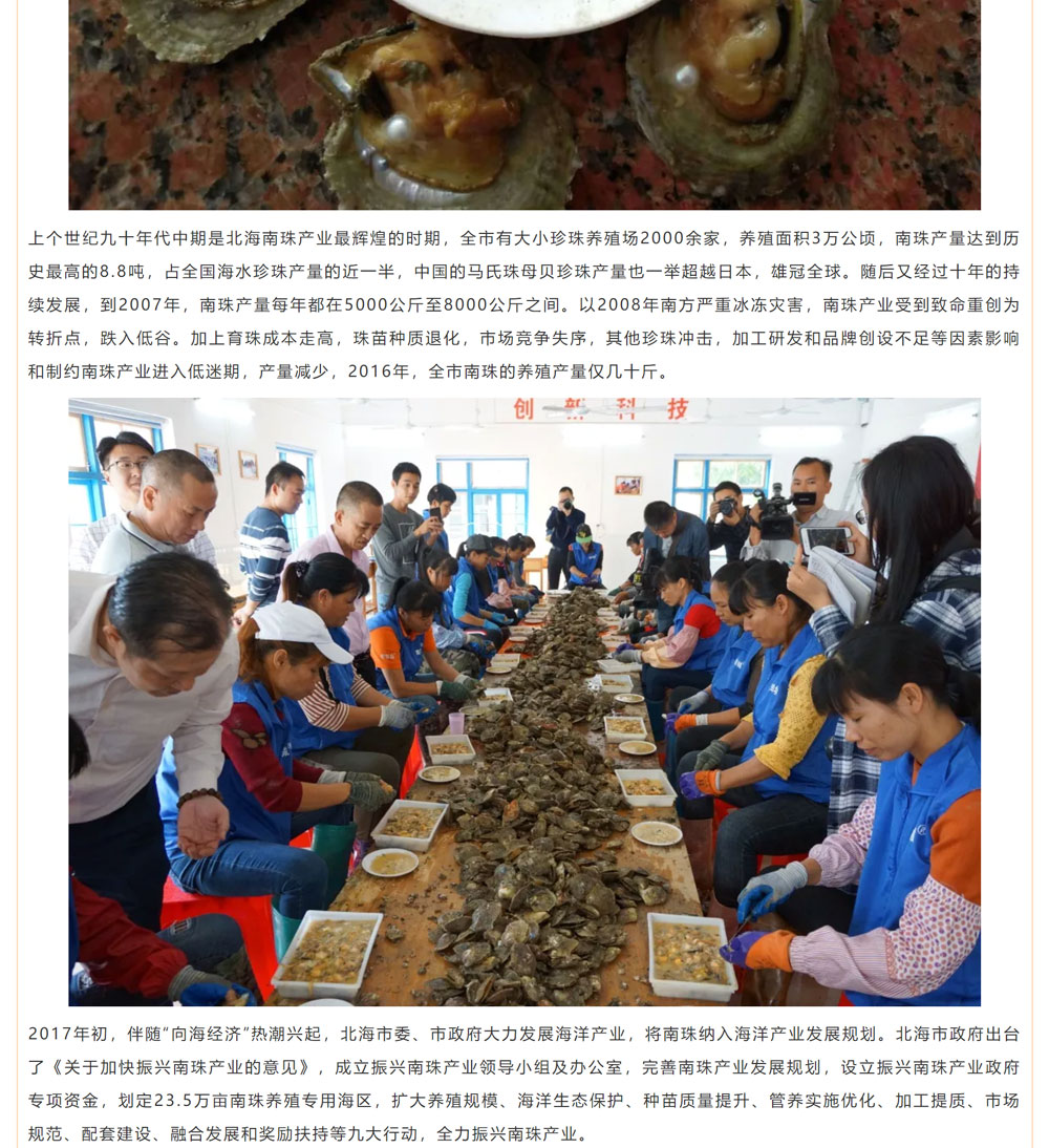 古老南珠，綻放異彩
